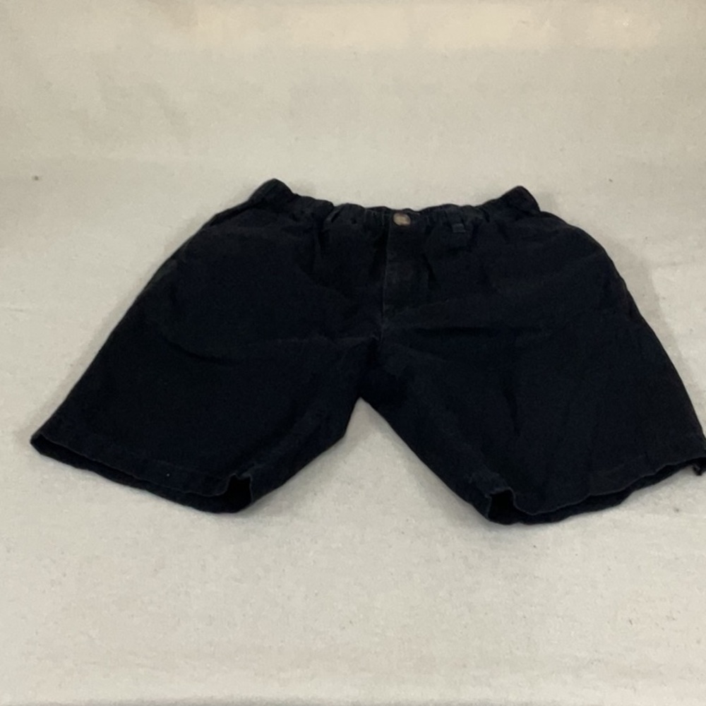 EUC Mens chubbies shorts